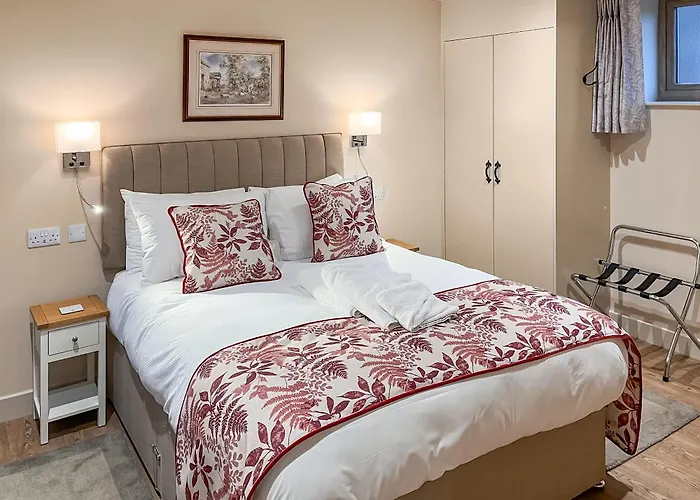 Goose Beck - Divico *